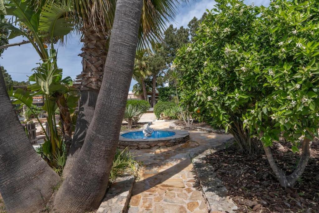 Casa Con Piscina, Jardin Y Juegos Exteriores Casa de férias Montecristo